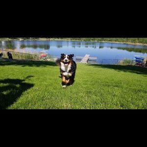 Meet your Posher, Jackie